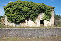 Imagem=capIII_carolos_4847.JPG
Tamanho=218KB
Dimensão=1024x683
Data Envio=14 Out, 2013 capIII_carolos_4847.JPG