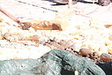 Imagem=capIII_carolos_4960.JPG
Tamanho=109KB
Dimensão=1024x683
Data Envio=14 Out, 2013 capIII_carolos_4960.JPG