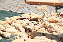 Imagem=capIII_carolos_4961.JPG
Tamanho=151KB
Dimensão=1024x683
Data Envio=14 Out, 2013 capIII_carolos_4961.JPG