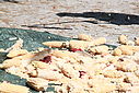 Imagem=capIII_carolos_4963.JPG
Tamanho=123KB
Dimensão=1024x683
Data Envio=14 Out, 2013 capIII_carolos_4963.JPG