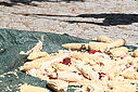 Imagem=capIII_carolos_4964.JPG
Tamanho=161KB
Dimensão=1024x683
Data Envio=14 Out, 2013 capIII_carolos_4964.JPG