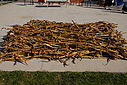 Filename=C12_4662.JPG
Filesize=196KiB
Dimensions=1024x685
Date added=Oct 17, 2012 C12_4662.JPG