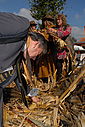 Filename=C12_4717.JPG
Filesize=294KiB
Dimensions=1024x1530
Date added=Oct 17, 2012 C12_4717.JPG