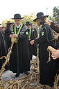 Filename=C12_4724.JPG
Filesize=235KiB
Dimensions=1024x1530
Date added=Oct 17, 2012 C12_4724.JPG