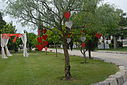 Nome da imagem=verklaro_decora__o_quinta2945.JPG
Tamanho=111KB
Dimensão=800x537
Data Envio=21 Out, 2010 verklaro_decora__o_quinta2945.JPG