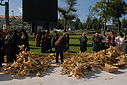 Imagem=C12_4758.JPG
Tamanho=157KB
Dimensão=1024x685
Data Envio=%17 %717, %2012 C12_4758.JPG