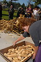 Imagem=C12_4759.JPG
Tamanho=309KB
Dimensão=1024x1530
Data Envio=%17 %717, %2012 C12_4759.JPG