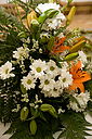 Nome da imagem=verklaro_decora__o_igreja-295.jpg
Tamanho=59KB
Dimensão=400x600
Data Envio=%21 %036, %2010 verklaro_decora__o_igreja-295.jpg