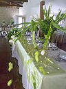 23052009470.jpg