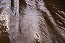 IMG_4140.JPG