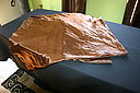 IMG_4153.JPG