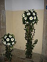 IMG_0019.JPG