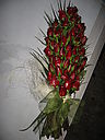 IMG_0045.JPG