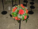 IMG_0046.JPG