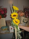 IMG_0168.JPG