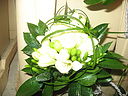IMG_0170.JPG