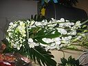 IMG_0171.JPG
