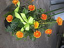 IMG_0198.JPG