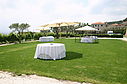 IMG_6211.jpg