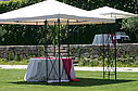 IMG_6482.jpg