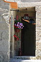 IMG_6483.jpg