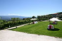 IMG_6493.jpg