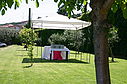 IMG_6510.jpg
