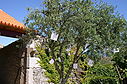 IMG_6513.jpg
