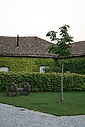 Quinta_289029.jpg