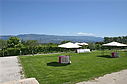 ext_281929.jpg
