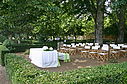 ext_282229.jpg